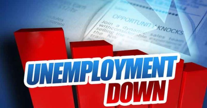 La tasa de desempleo de Florida cae al 7.4% en medio de la pandemia